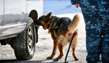 Кыргызстан усилил контроль на границе из-за угрозы, поступающей из Казахстана