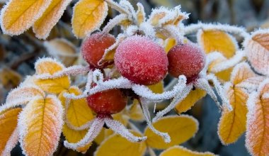 До -11°C и ветер 28 м/с: Казахстан накроет опасная погода 2