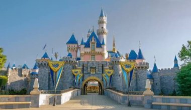 Трагедия у Disneyland: у входа в знаменитый парк обнаружили тело