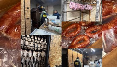 В Петропавловске накрыли мясной цех с сомнительной репутацией