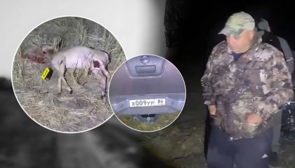 Спасибо, что живой: почему егерь из СКО ищет управу на браконьеров в СМИ