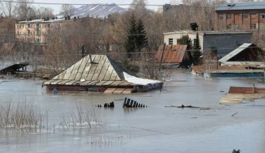 Таджикистан готов оказать помощь Казахстану